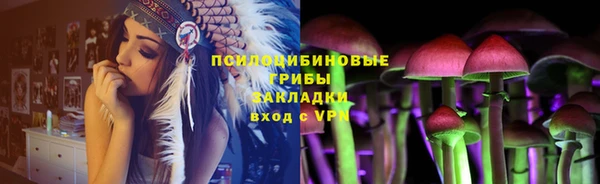 крисы Алзамай