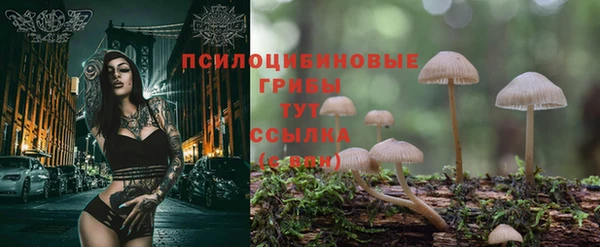 крисы Алзамай