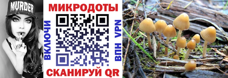 мега как войти  Кинель  Псилоцибиновые грибы Magic Shrooms  даркнет сайт 